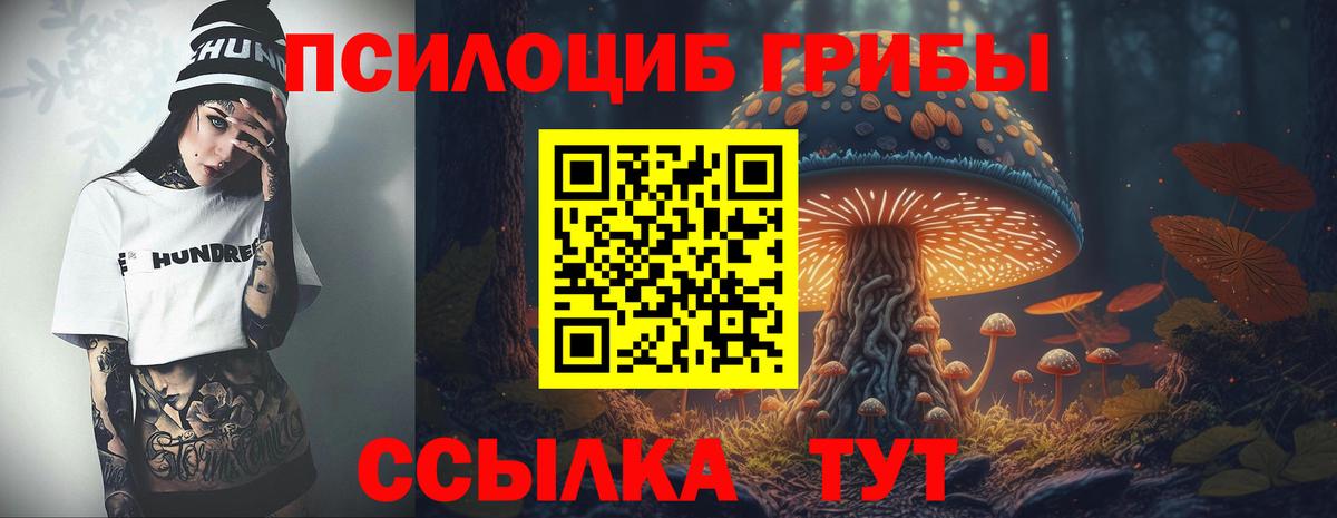 Тихвин  Псилоцибиновые грибы мухоморы  Вход с VPN  Галлюциногенные грибы ЛСД 