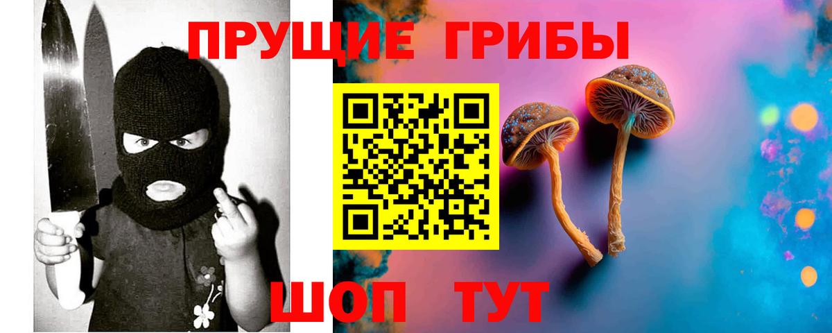 Псилоцибиновые грибы мицелий Тихвин